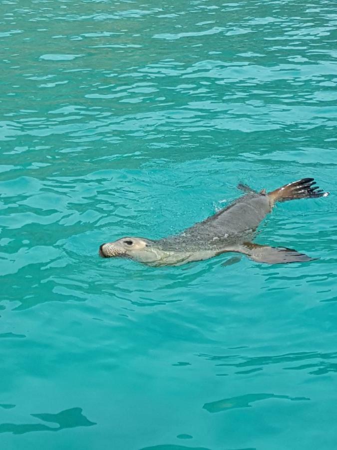 Berds Nest Villa Emu Bay Luaran gambar